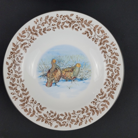 (2) WILD BIRDS Porcelain Soup Bowls - Picture 3 of 12